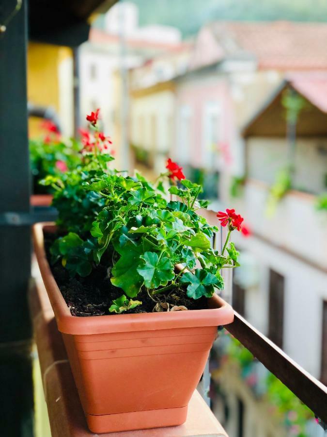 Bed and Breakfast Il Terrazzino Иглесиас Экстерьер фото